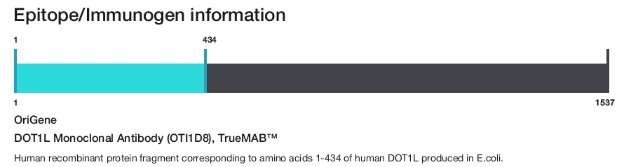 DOT1L Monoclonal Antibody (OTI1D8), TrueMAB&trade;