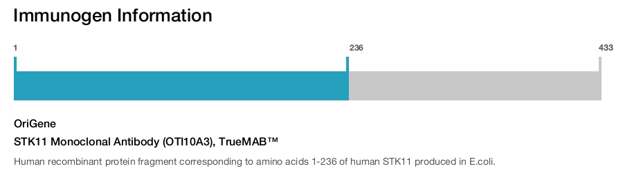 STK11 Monoclonal Antibody (OTI10A3), TrueMAB&trade;