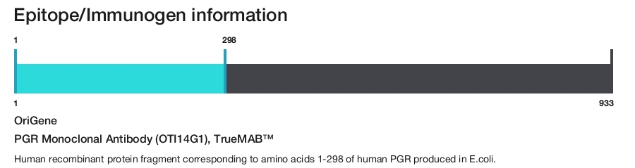 PGR Monoclonal Antibody (OTI14G1), TrueMAB&trade;