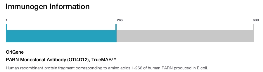 PARN Monoclonal Antibody (OTI4D12), TrueMAB&trade;