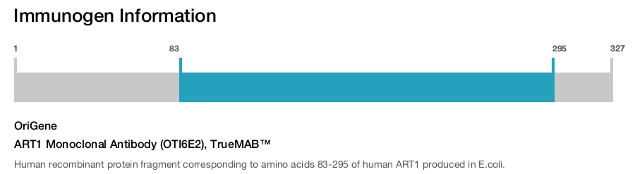 ART1 Monoclonal Antibody (OTI6E2), TrueMAB&trade;