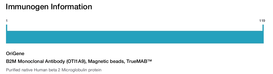 B2M Monoclonal Antibody (OTI1A9), Magnetic beads, TrueMAB&trade;