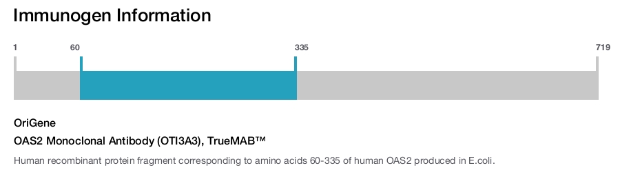 OAS2 Monoclonal Antibody (OTI3A3), TrueMAB&trade;
