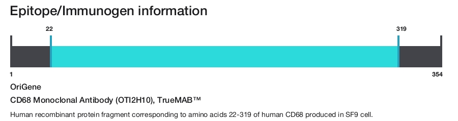 CD68 Monoclonal Antibody (OTI2H10), TrueMAB&trade;