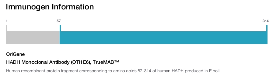 HADH Monoclonal Antibody (OTI1E6), TrueMAB&trade;