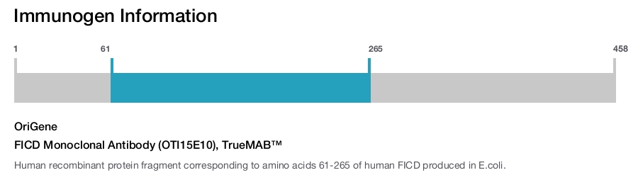 FICD Monoclonal Antibody (OTI15E10), TrueMAB&trade;