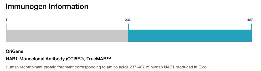 NAB1 Monoclonal Antibody (OTI5F2), TrueMAB&trade;
