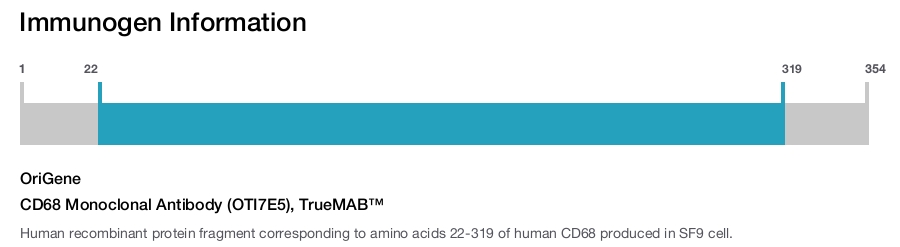 CD68 Monoclonal Antibody (OTI7E5), TrueMAB&trade;