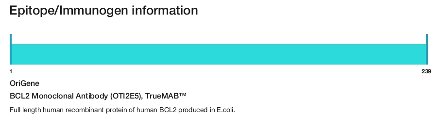 BCL2 Monoclonal Antibody (OTI2E5), TrueMAB&trade;