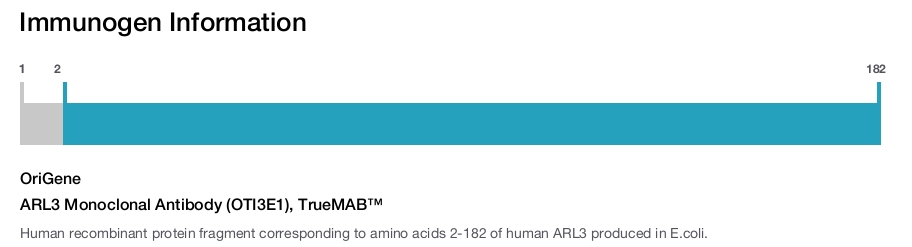 ARL3 Monoclonal Antibody (OTI3E1), TrueMAB&trade;