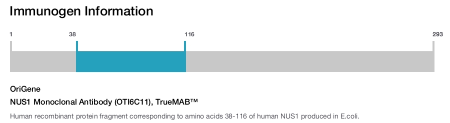 NUS1 Monoclonal Antibody (OTI6C11), TrueMAB&trade;