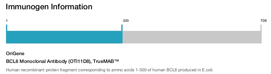 BCL6 Monoclonal Antibody (OTI11D8), TrueMAB&trade;