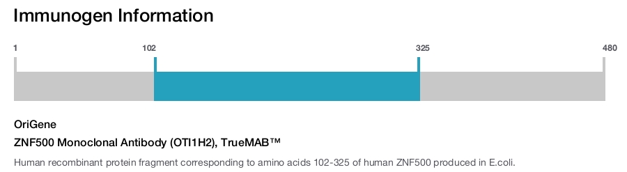 ZNF500 Monoclonal Antibody (OTI1H2), TrueMAB&trade;