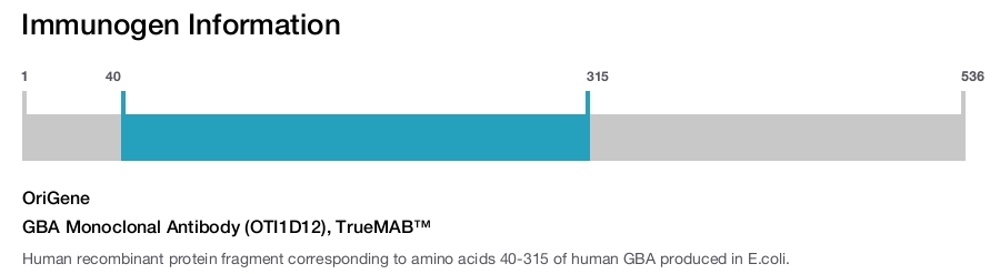 GBA Monoclonal Antibody (OTI1D12), TrueMAB&trade;