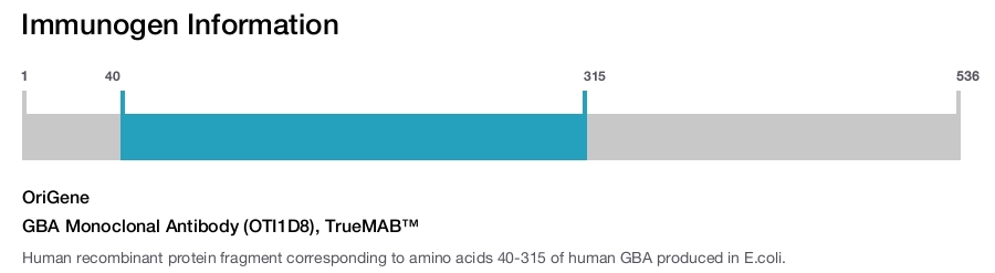 GBA Monoclonal Antibody (OTI1D8), TrueMAB&trade;