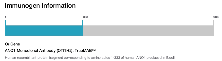 ANO1 Monoclonal Antibody (OTI1H2), TrueMAB&trade;