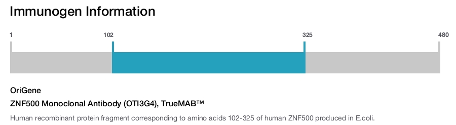ZNF500 Monoclonal Antibody (OTI3G4), TrueMAB&trade;