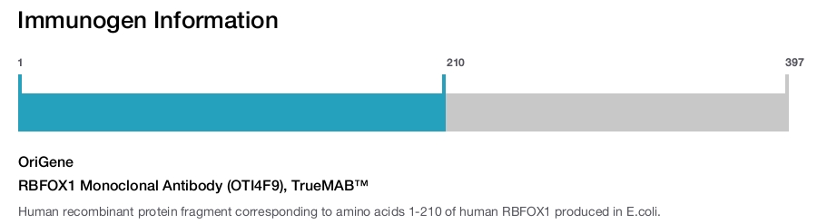RBFOX1 Monoclonal Antibody (OTI4F9), TrueMAB&trade;