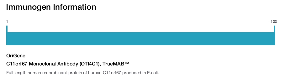 C11orf67 Monoclonal Antibody (OTI4C1), TrueMAB&trade;