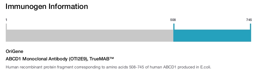 ABCD1 Monoclonal Antibody (OTI2E9), TrueMAB&trade;