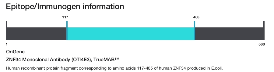 ZNF34 Monoclonal Antibody (OTI4E3), TrueMAB&trade;