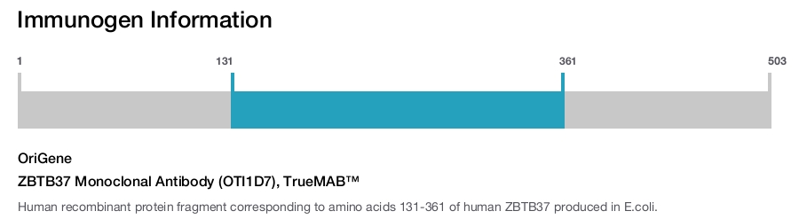ZBTB37 Monoclonal Antibody (OTI1D7), TrueMAB&trade;
