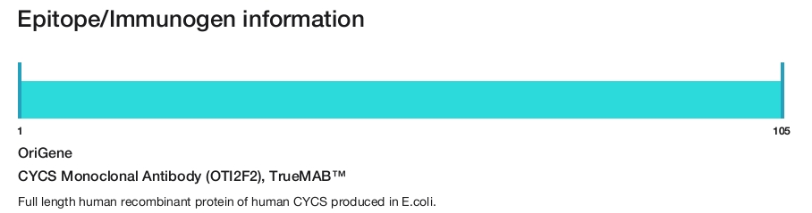 CYCS Monoclonal Antibody (OTI2F2), TrueMAB&trade;