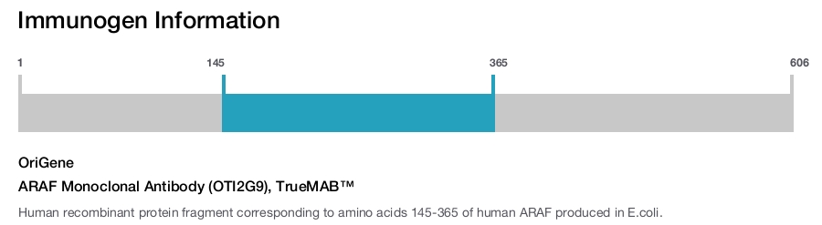 ARAF Monoclonal Antibody (OTI2G9), TrueMAB&trade;