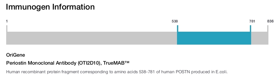 Periostin Monoclonal Antibody (OTI2D10), TrueMAB&trade;