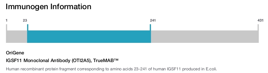 IGSF11 Monoclonal Antibody (OTI2A5), TrueMAB&trade;