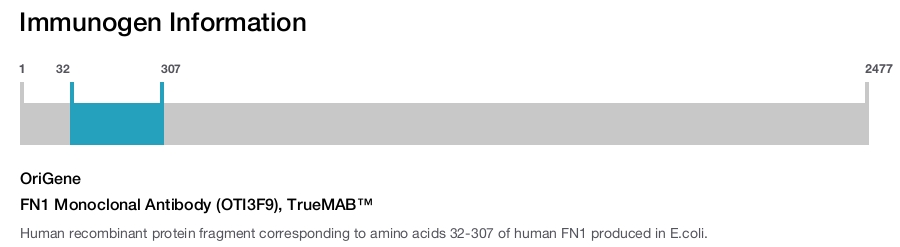 FN1 Monoclonal Antibody (OTI3F9), TrueMAB&trade;