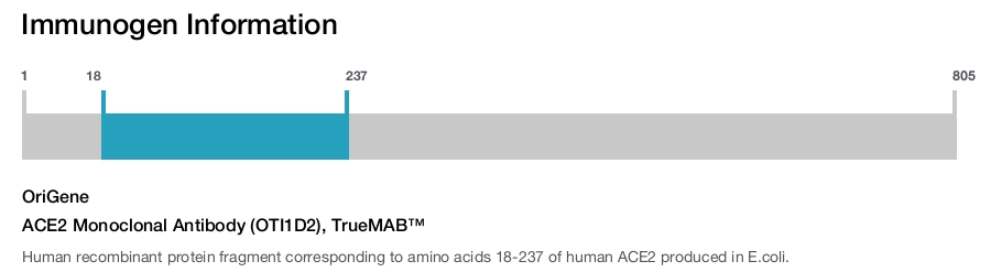 ACE2 Monoclonal Antibody (OTI1D2), TrueMAB&trade;
