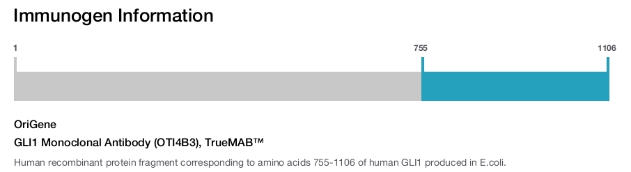 GLI1 Monoclonal Antibody (OTI4B3), TrueMAB&trade;