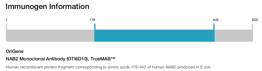 NAB2 Monoclonal Antibody (OTI6D10), TrueMAB&trade;