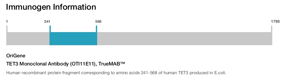 TET3 Monoclonal Antibody (OTI11E11), TrueMAB&trade;