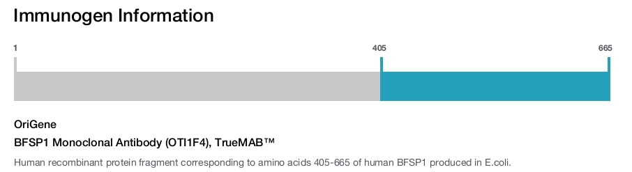 BFSP1 Monoclonal Antibody (OTI1F4), TrueMAB&trade;