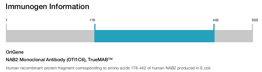 NAB2 Monoclonal Antibody (OTI1C6), TrueMAB&trade;