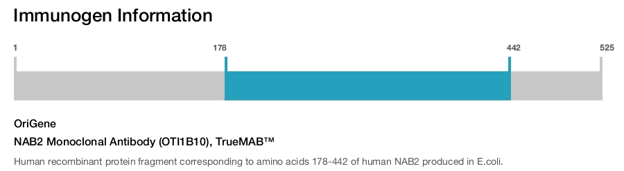 NAB2 Monoclonal Antibody (OTI1B10), TrueMAB&trade;