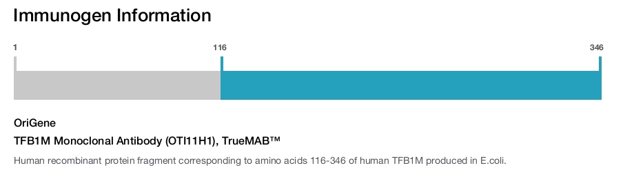 TFB1M Monoclonal Antibody (OTI11H1), TrueMAB&trade;