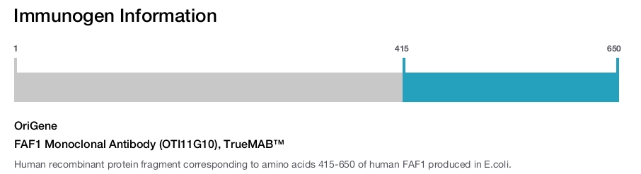 FAF1 Monoclonal Antibody (OTI11G10), TrueMAB&trade;