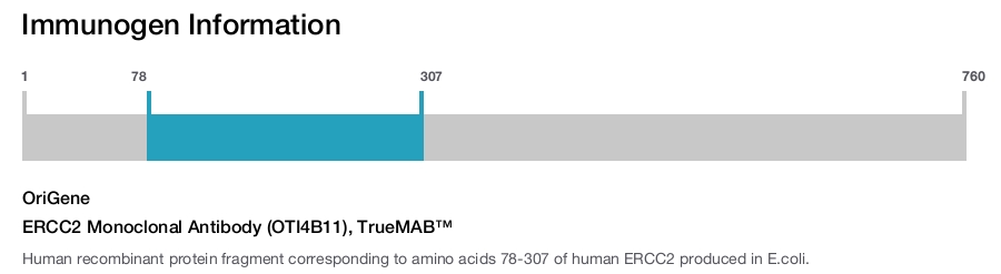 ERCC2 Monoclonal Antibody (OTI4B11), TrueMAB&trade;