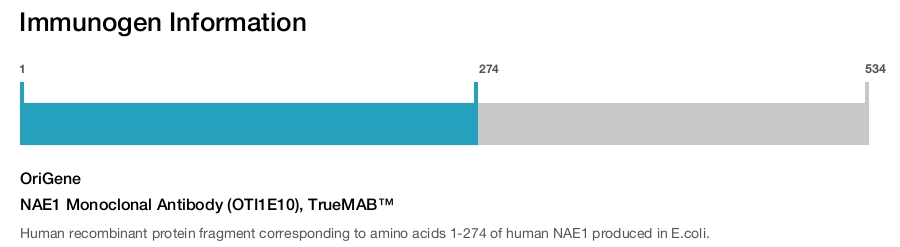 NAE1 Monoclonal Antibody (OTI1E10), TrueMAB™