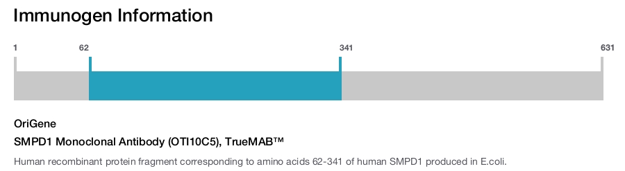 SMPD1 Monoclonal Antibody (OTI10C5), TrueMAB&trade;