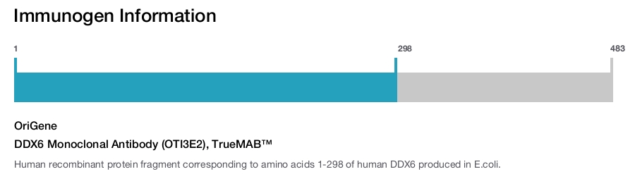 DDX6 Monoclonal Antibody (OTI3E2), TrueMAB&trade;
