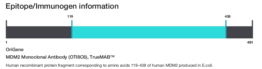 MDM2 Monoclonal Antibody (OTI8C6), TrueMAB&trade;