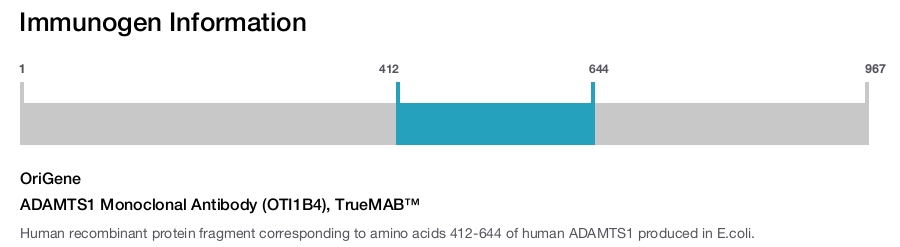 ADAMTS1 Monoclonal Antibody (OTI1B4), TrueMAB&trade;