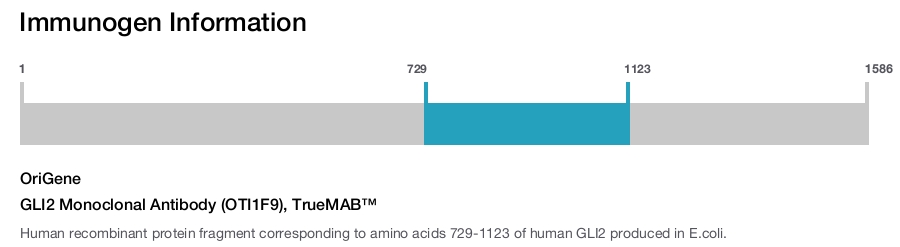 GLI2 Monoclonal Antibody (OTI1F9), TrueMAB&trade;