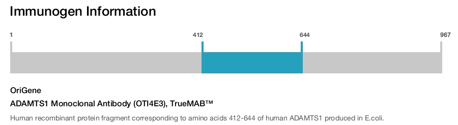 ADAMTS1 Monoclonal Antibody (OTI4E3), TrueMAB&trade;