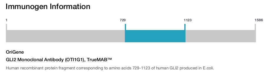 GLI2 Monoclonal Antibody (OTI1G1), TrueMAB&trade;