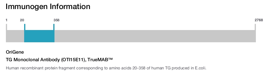 TG Monoclonal Antibody (OTI15E11), TrueMAB&trade;